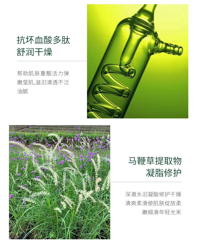 Coffret de soins pour la peau à base de polypeptides de Centella Asiatique : sérum-crème-lotion hydratante et régulateur de sébum à l’aloe Vera, essence d’acide ascorbique