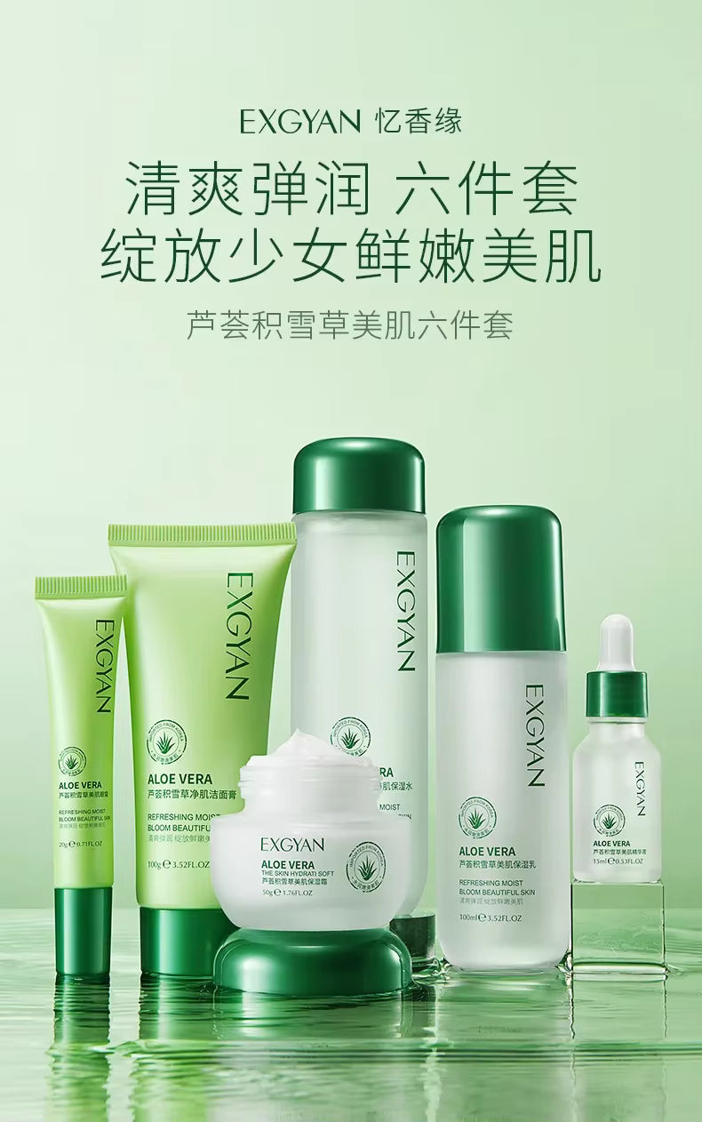 Coffret de soins pour la peau à base de polypeptides de Centella Asiatique : sérum-crème-lotion hydratante et régulateur de sébum à l’aloe Vera, essence d’acide ascorbique